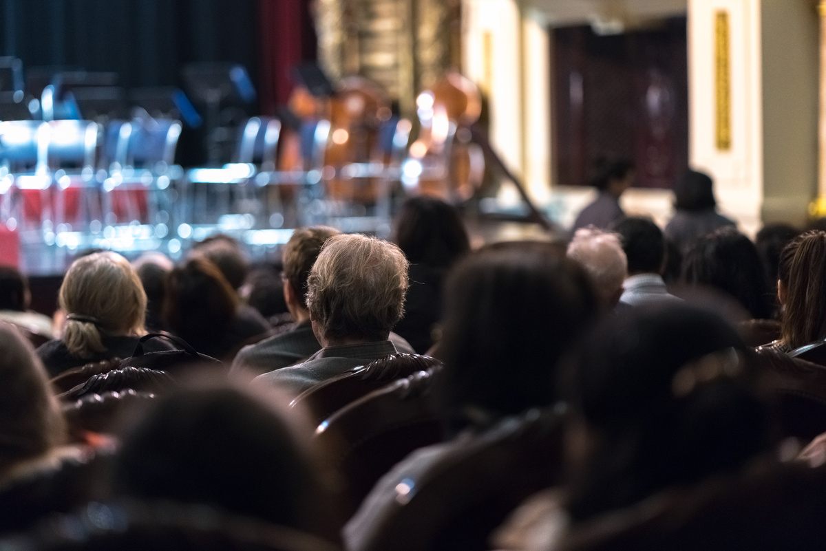 Audience Watching Concert